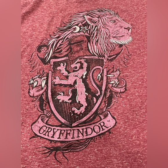 Harry Potter Gryffindor Tee Tshirt Adult Large Maroon Soft Dragon Lion Crest - Picture 6 of 6